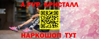 стаф Кунгур
