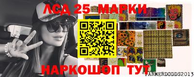 индика Кулебаки