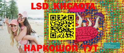 индика Кулебаки