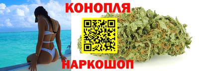 стаф Кунгур